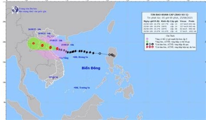 5 loại bao b&igrave; nhựa được ưa chuộng nhất 2021 PHẠM THỊ TỐ LAN