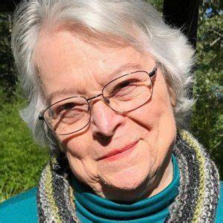 Ann Boyer The Martha's Vineyard Times