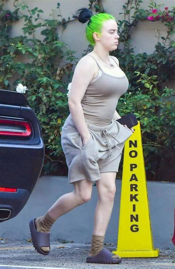 Billie Eilish should be shamed for this picture, but not for what you think