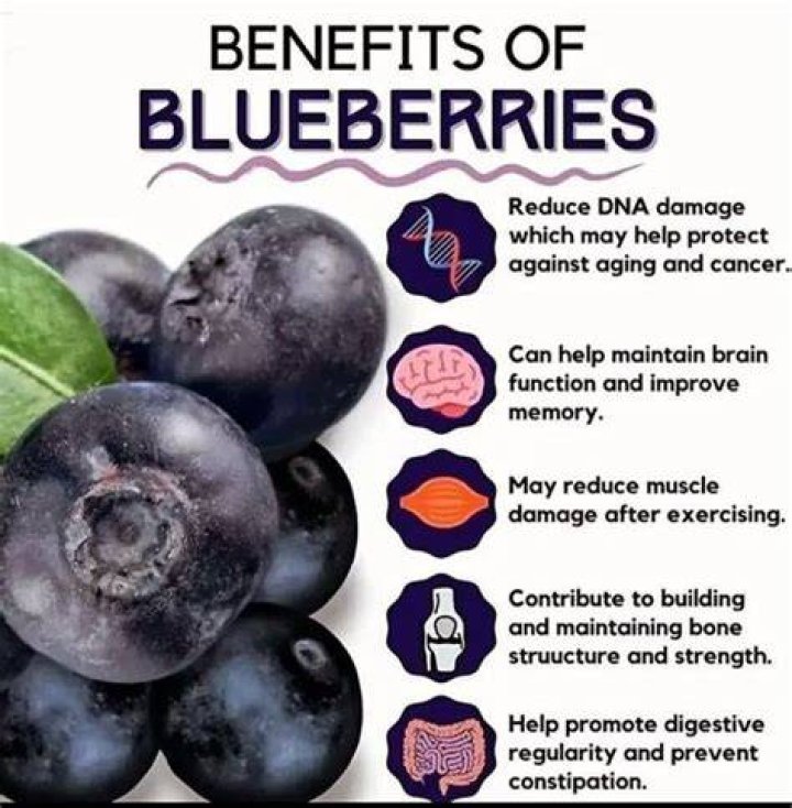 Blueberries show surprising health benefits NaturalHealth365