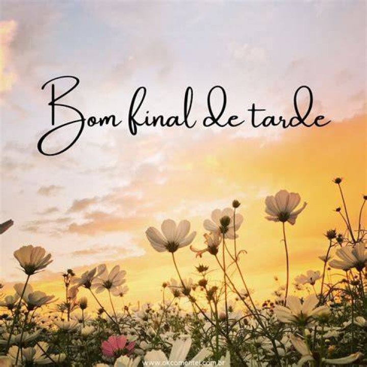 Bom final de tarde sorrindo Descobrindo Vida