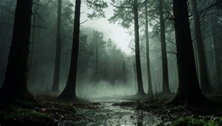 Exploring The Eerie World Of Heidi Wong Horror Movies