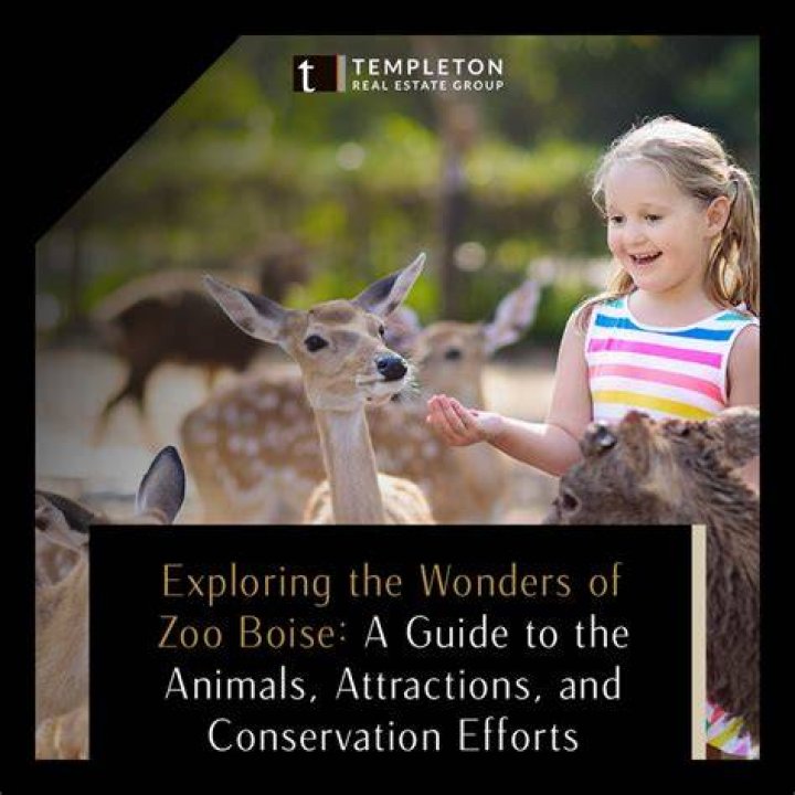 Exploring The Wonders Of The Ar Tof Zoo