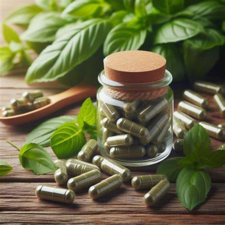 Holy Basil Tulsi Extract at Rs 550/kg Tulsi Ark in Greater Noida ID