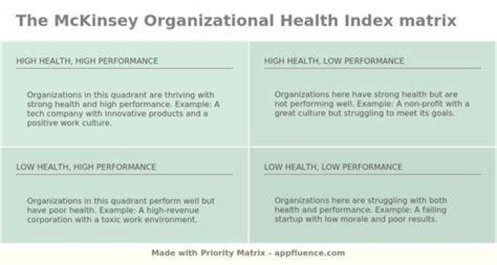 McKinsey Organizational Health Index [Free download]