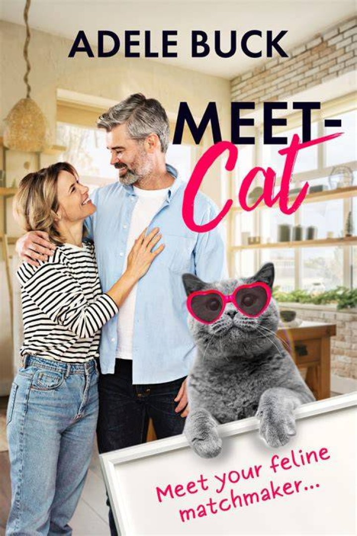 Meet the Cat with the Human Face Katniss Cat Reporter