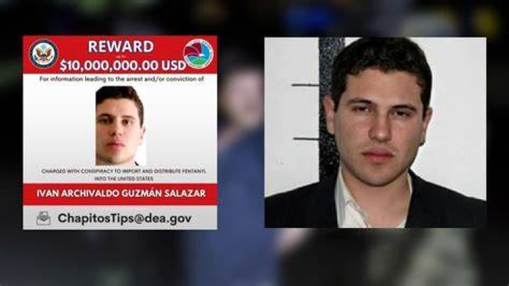 Perfil. Iván Archivaldo Guzmán Salazar