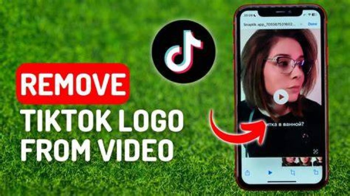 Remove tiktok logo from video online plesupreme