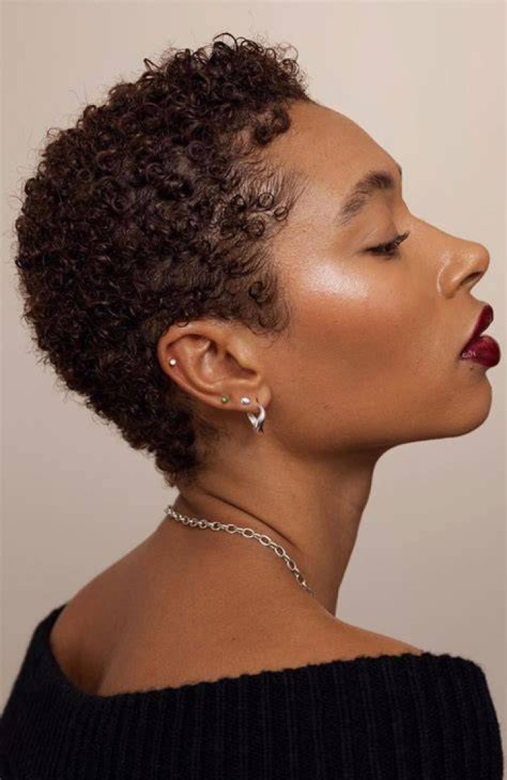Short Natural Haircuts For Black Females With Thin Hair Hipee Hairstyle