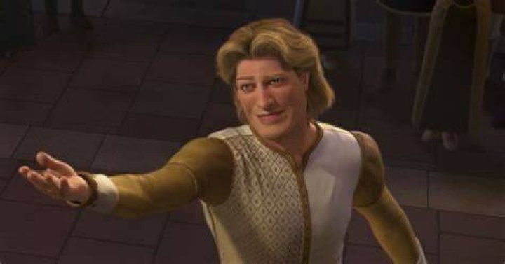 The Enigmatic Character Of The Prince In Shrek