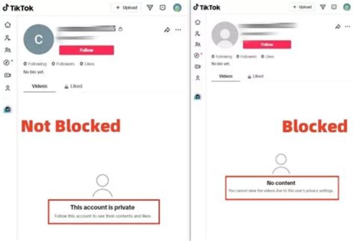 TikTok Account Is Blocked Here&rsquo;s What to Do 4K Download