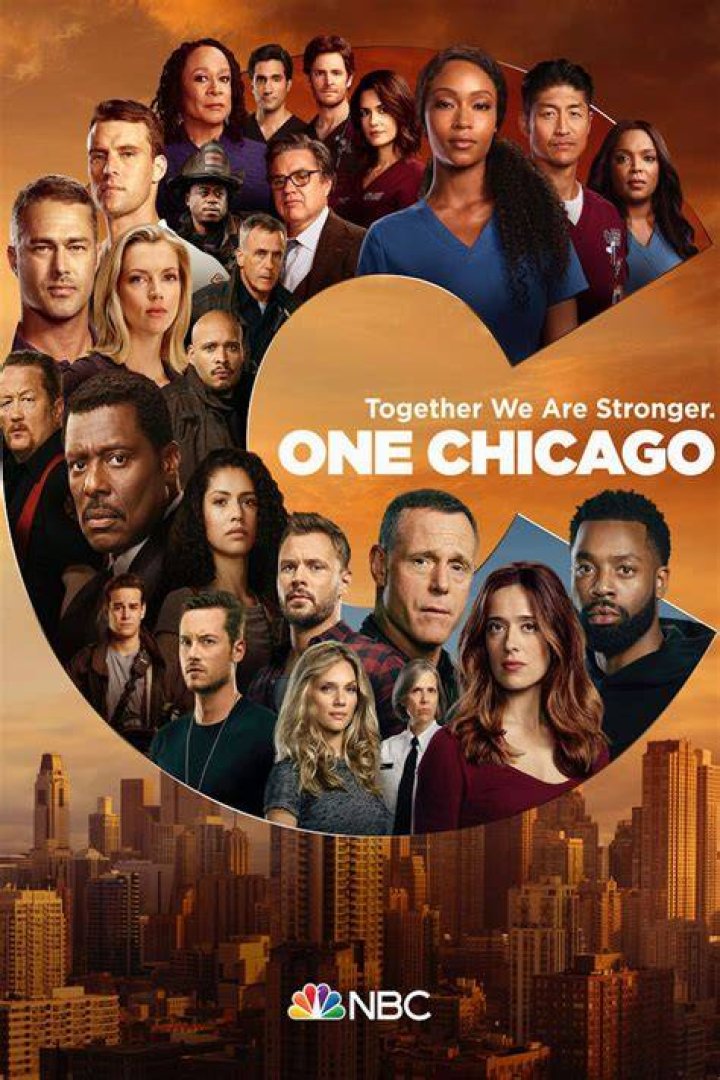 Why One Chicago's Adam Ruzek Looks So Familiar
