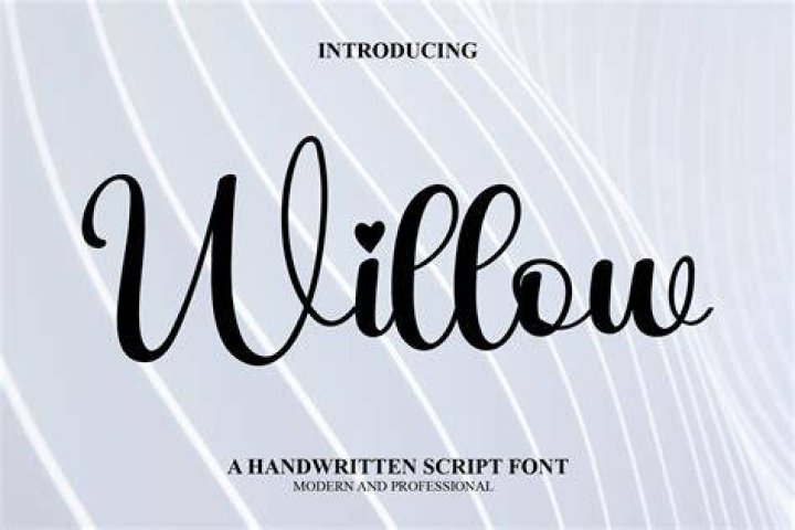Willow Script Font Free Download